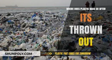 The Journey of Plastic Bags: From Trash to Environmental Impact