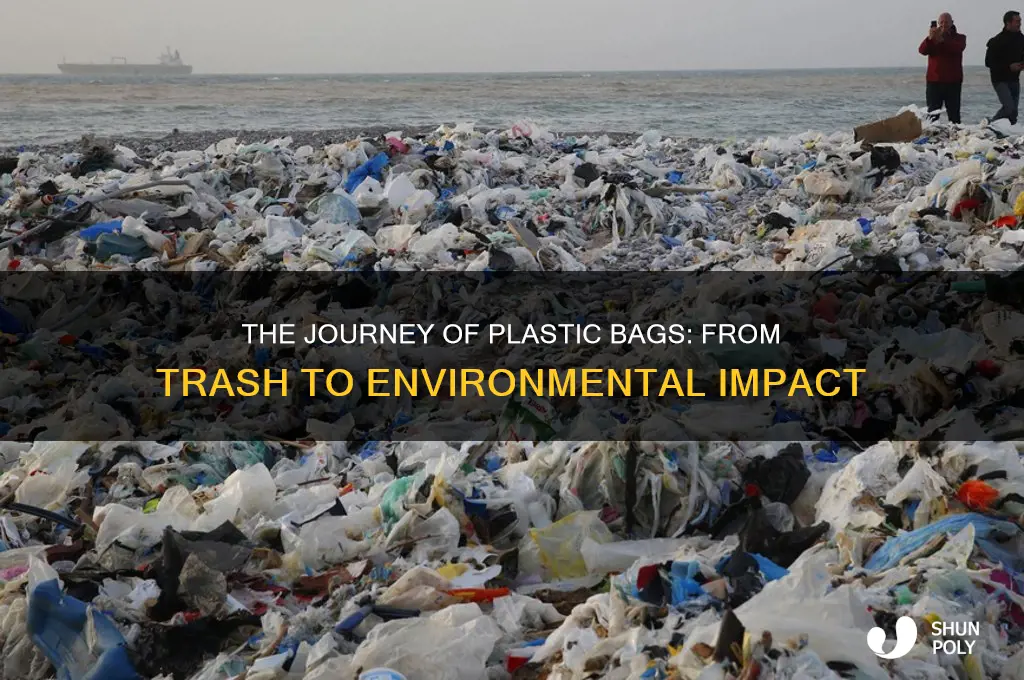 where does plastic bags go after its thrown out