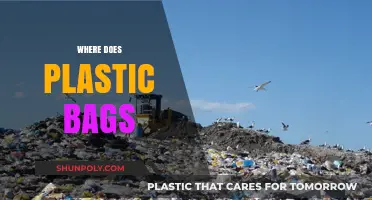 Where Do Plastic Bags Go? Tracing Their Environmental Journey