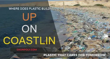 Plastic Pollution: Coastline Contamination Crisis