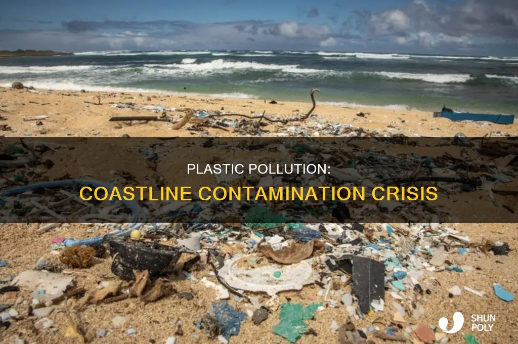 where does plastic build up on coastline