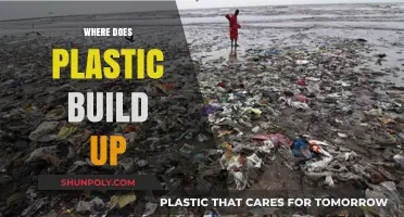Unseen Accumulation: The Pervasive Issue of Plastic Buildup