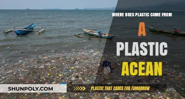 Unveiling the Origins: A Deep Dive into Plastic's Ocean Impact