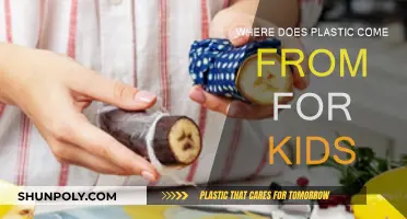 The Magic of Plastic: From Ideas to Reality