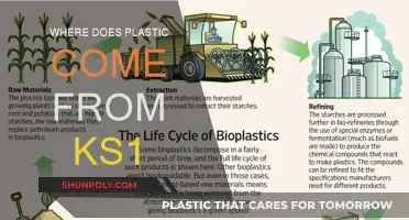 The Story of Plastic: A KS1 Guide