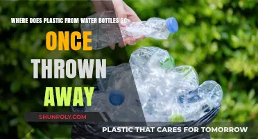 The Hidden Journey of Discarded Water Bottles: Where Does Plastic Go?