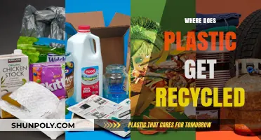 Where Does Plastic Go? Unveiling the Recycling Journey and Destinations