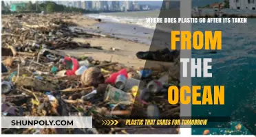 The Journey of Ocean Plastic: From Sea to Sustainability