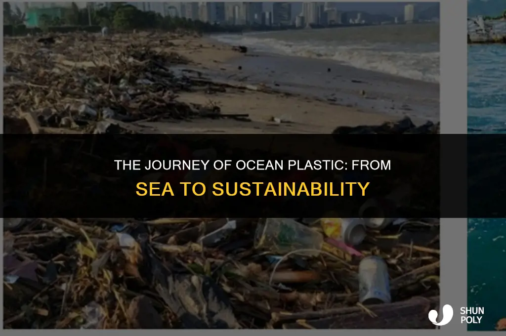 where does plastic go after its taken from the ocean