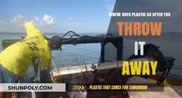 The Journey of Plastic: Beyond the Trash Can