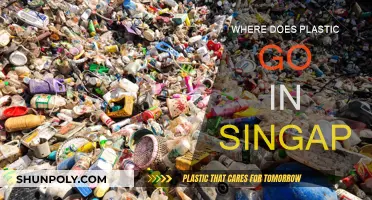 Singapore's Plastic Trail: Where Does It End Up?