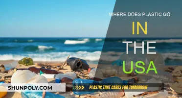 The US Plastic Trail: Where Does it End Up?