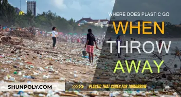 The Mystery of Disappearing Plastics: Where Do They Go?
