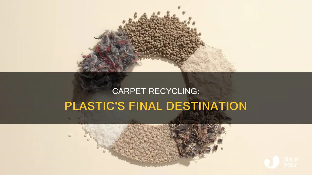 where does plastic go with carpet