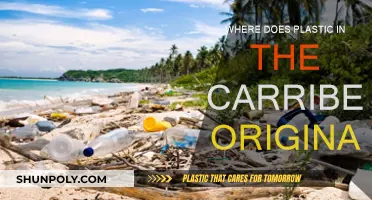 The Caribbean's Plastic Pollution: Where Does It Come From?