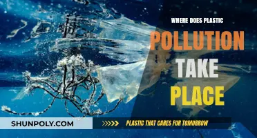 Unveiling the Pervasive Reach of Plastic Pollution Across Ecosystems