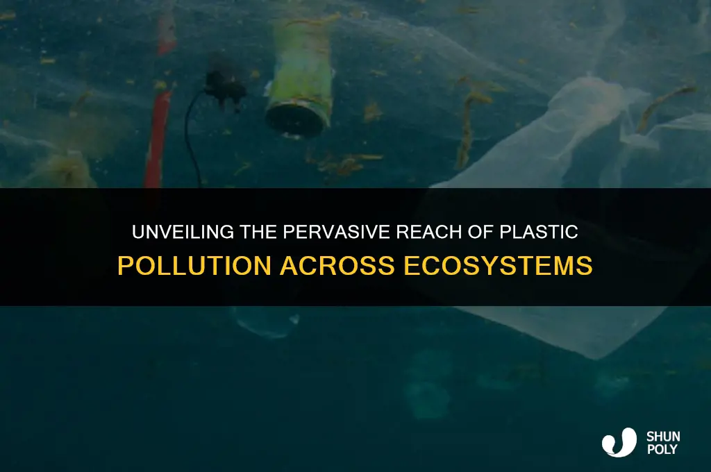 where does plastic pollution take place
