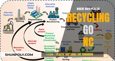 Recycling Mystery: Where Does Plastic Go in North Carolina?