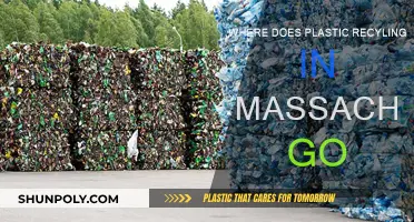 The Journey of Recycled Plastics in Massachusetts