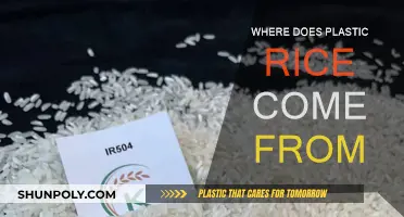 The Mystery of Plastic Rice: Its Origin