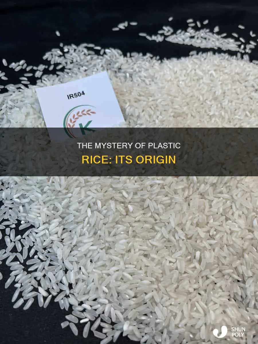 where does plastic rice come from