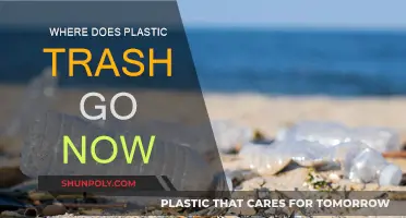 The Mystery of Plastic Trash: Where Does It Go?