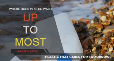 Plastic Pollution: Where It Washes Ashore