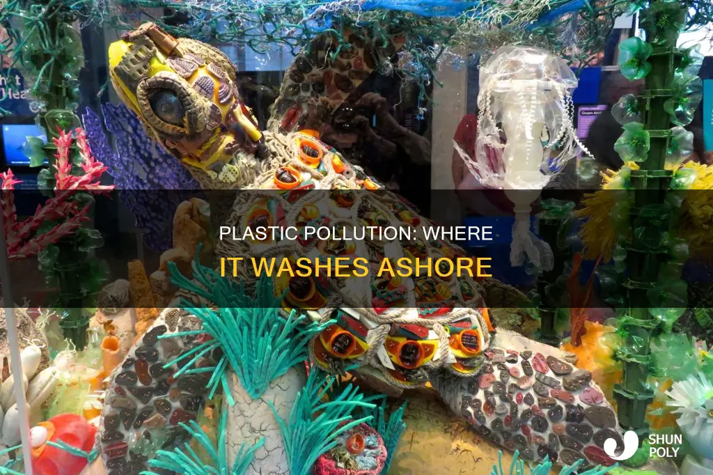 where does plastic wash up to most