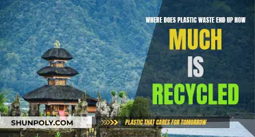Plastic's Final Destination: Understanding Recycling's True Impact