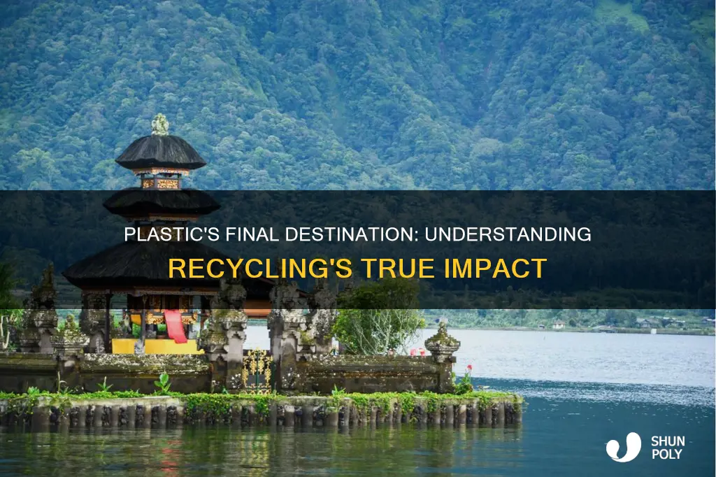 where does plastic waste end up how much is recycled
