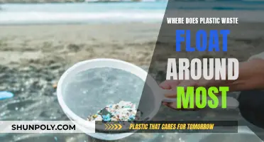 Plastic Waste: Where Does It Float?