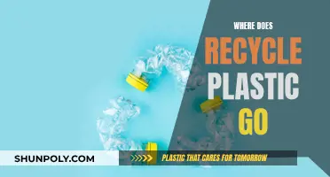 The Journey of Recycled Plastic: Where Does It End Up?