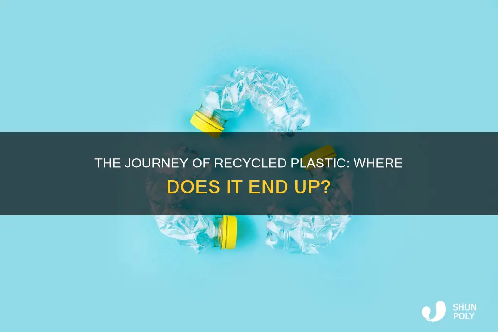 where does recycle plastic go