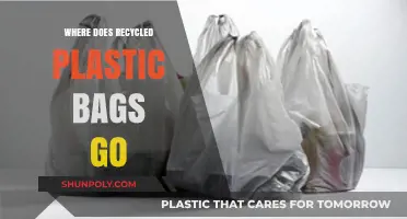Unveiling the Journey: Where Recycled Plastic Bags Ultimately End Up