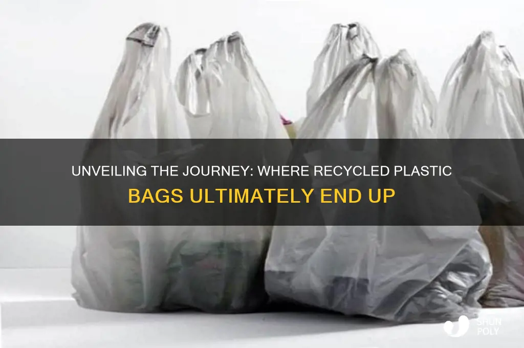 where does recycled plastic bags go