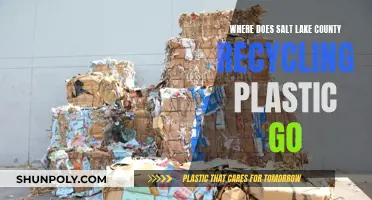 Salt Lake County's Plastic Recycling: Where Does It End Up?