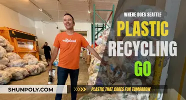 Seattle's Plastic Recycling: Where Does It End Up?