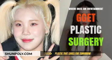 SM Entertainment's Plastic Surgery Secrets: Unveiling K-Pop's Beauty Transformation