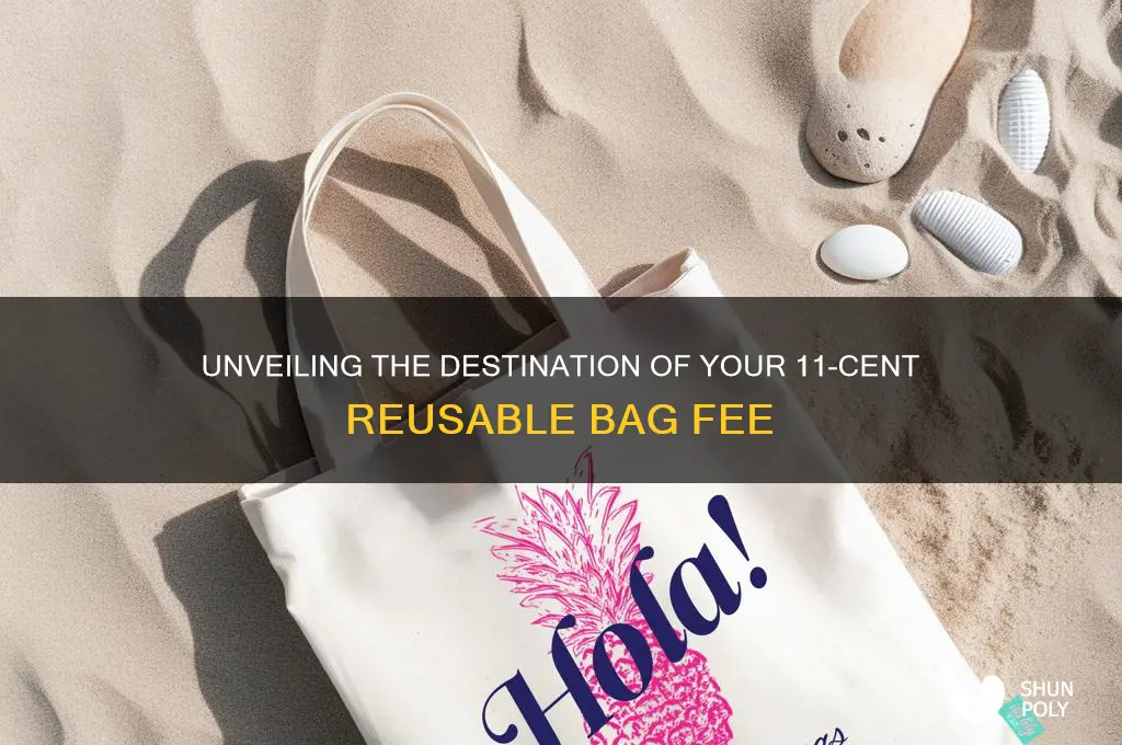 where does the 11 cent reusable plastic bag charge go
