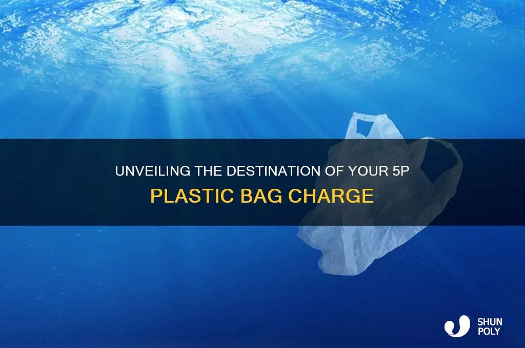 where does the 5p for plastic bags go