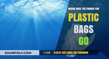 Unveiling the Destination of Plastic Bag Charges: A Financial Journey