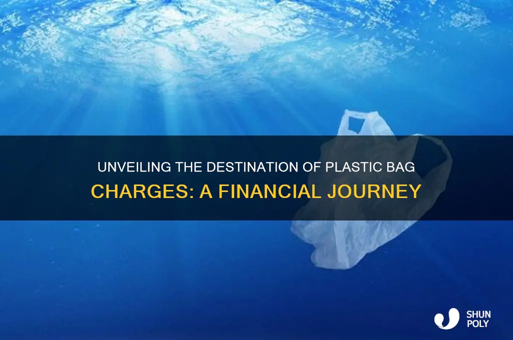 where does the charge for plastic bags go