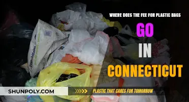 Connecticut's Plastic Bag Fee: Tracking Funds and Environmental Impact