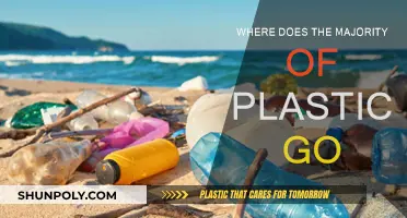 The Fate of Plastic: Where Does It All Go?