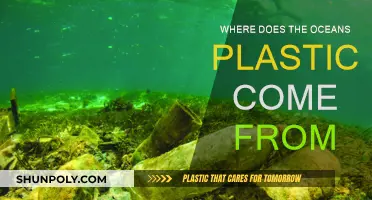 The Troubling Sources of Ocean Plastic Pollution