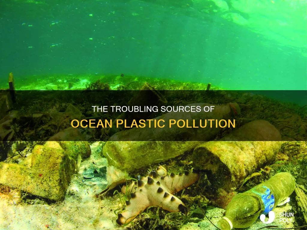 where does the oceans plastic come from