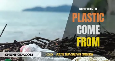 The Origin of Plastics: A Complex Story