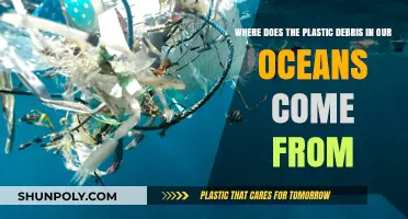Unveiling the Sources of Plastic Pollution in Our Oceans