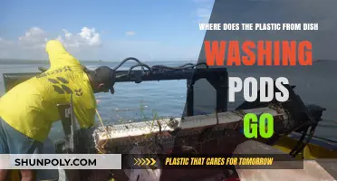 The Hidden Journey: Tracing the Path of Plastic from Dishwashing Pods