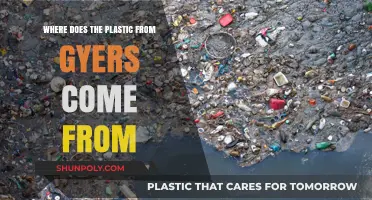Unraveling the Origins of Ocean Gyres' Plastic Pollution